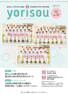 Vol.33