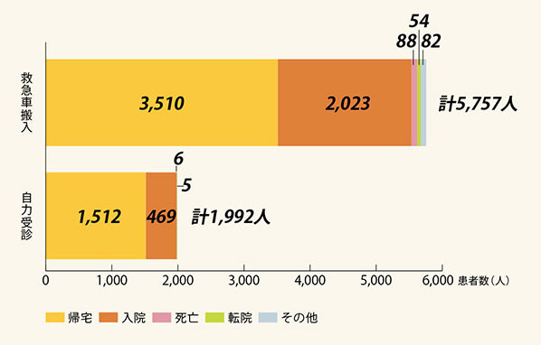 来院手段別転帰別の救急外来受診患者数の内訳